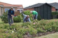 arbejdssoendag-29-jun-2014_11-2