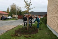 groen-loerdag_14-2